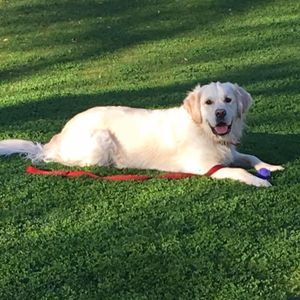 Meet your Posher, Kristen